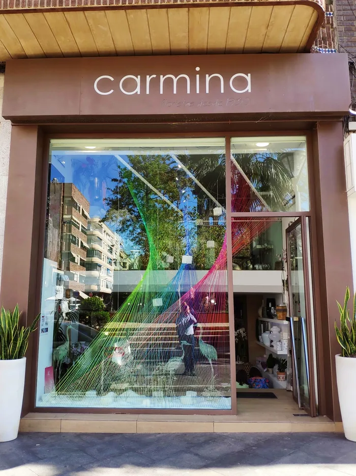Escaparate de la Floristería Carmina con la instalación de planos de colores